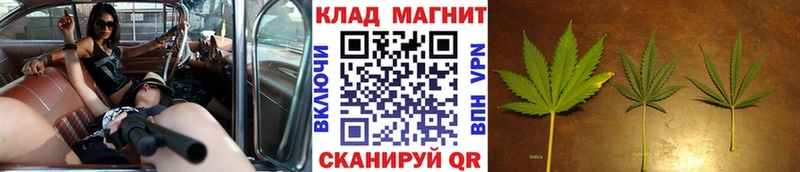 Купить закладку Амфетамин  Конопля  Меф  ГАШ  Alpha-PVP  Алзамай