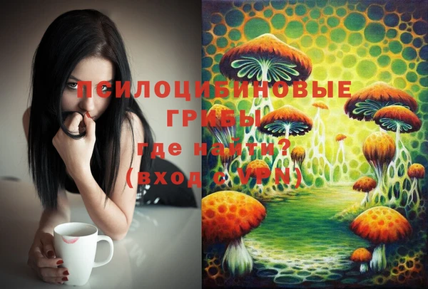 ECSTASY Магас