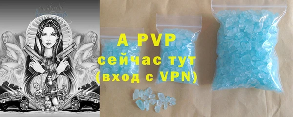 ECSTASY Магас