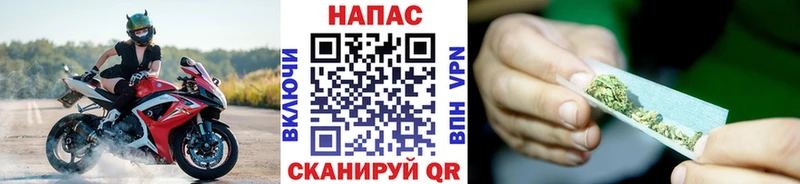 Купить закладки  Алзамай  Канабис SATIVA & INDICA 